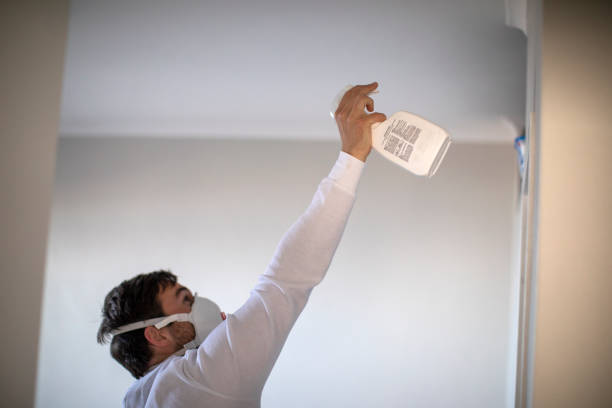 Best Insurance-Related Mold Remediation in Oak Ridge North, TX