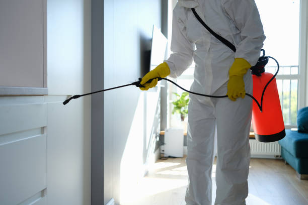 Best Bathroom Mold Remediation in Oak Ridge North, TX
