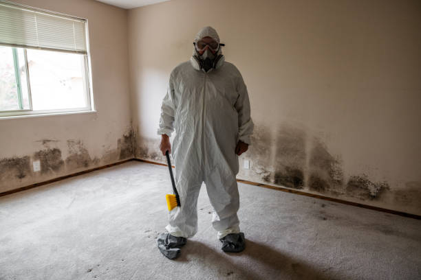 Best Preventive Mold Services in Oak Ridge North, TX